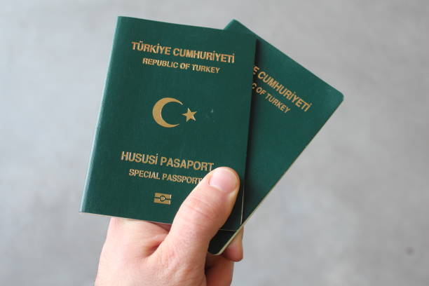 Best Turkey Visa Agents London to Make Your Travel Easy and Fast