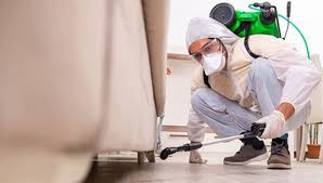 Pest Control Services in Lahore Reliable Protection Solutions